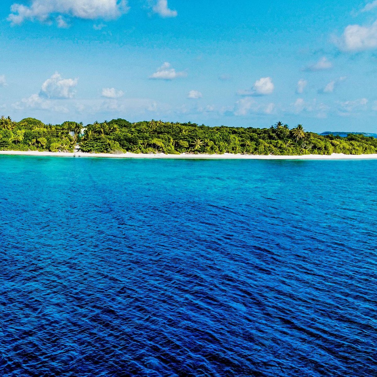 Welcome to #fodhdhoo , where paradise meets perfection.

Whether you’re seeking romance, adventure, or simply relaxation, our idyllic #sabbasummersuite #sabbabeachvillasandspa #sabbabeachsuite #sabbawhitesandcatamaran has something for everyone. 
.
.
#sabbabeachhotels #maldives…