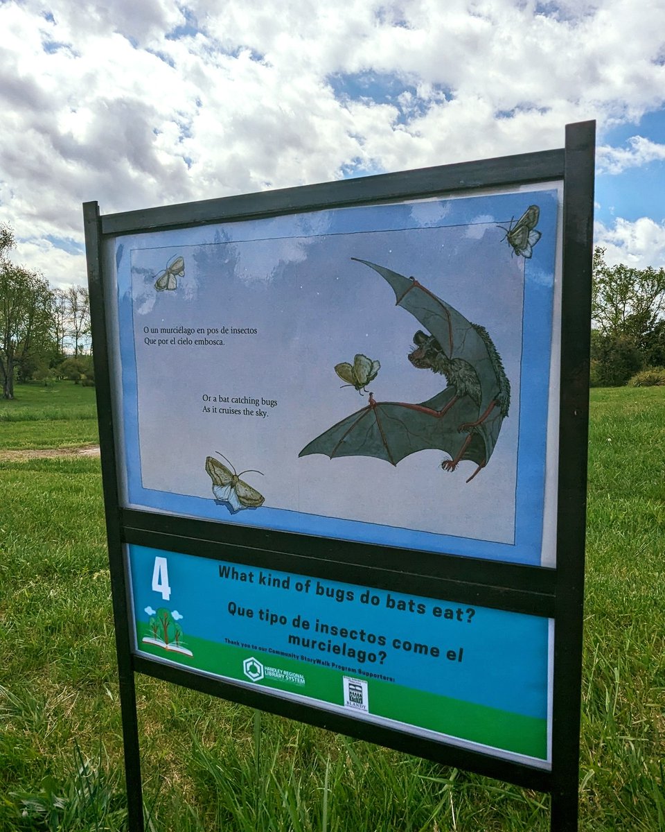 Thanks to our partner, @handleyregional, we're ready to roll out a brand new (bilingual!) StoryWalk®—Bugs for Lunch/Insectos Para El Almuerzo by Margery Facklam! Come take a StoryWalk® at Blandy!