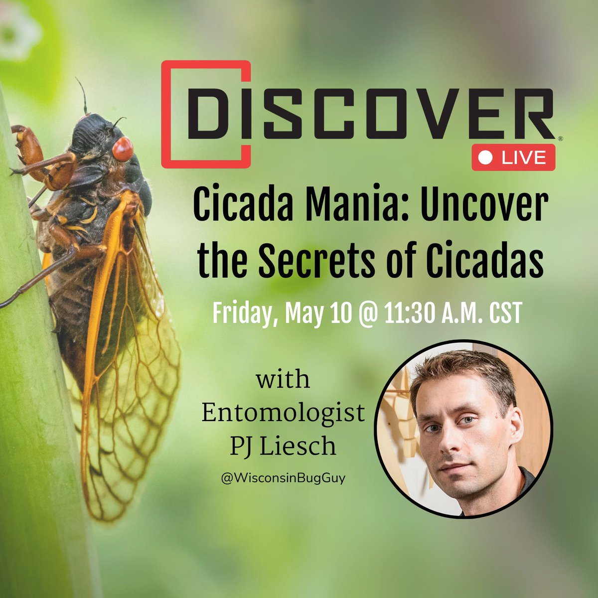 I'm excited to be partnering with @DiscoverMag to lead a live #cicada Q&A session on Friday, May 10th at 11:30 AM CST—join in! youtube.com/watch?v=bt8wux…