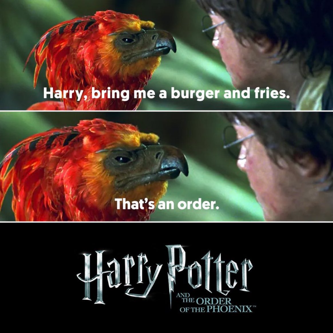 Harry Potter and the Order of the Phoenix 🤣