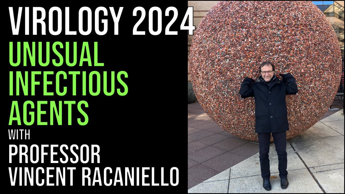 Nearing the end of Virology Lectures 2024, we tackle some profound questions: What is the smallest genome that can sustain an infectious agent? Might the genome of an infectious agent encode no protein? Could an infectious agent exist without a genome? 📺 bit.ly/3JCUYFY