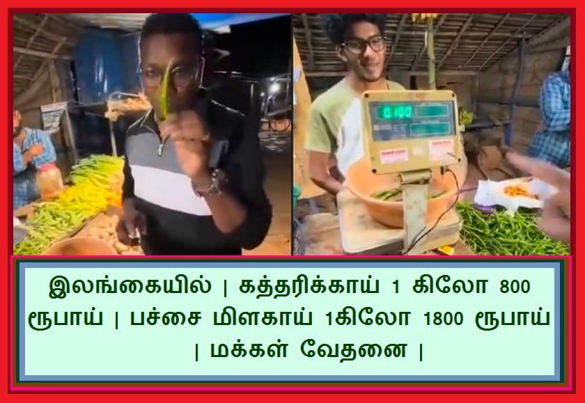 இலங்கையில் | கத்தரிக்காய் 
1கிலோ 800 ரூபாய் | பச்சை மிளகாய் 1கிலோ 1800 ரூபாய் | மக்கள் வேதனை |
youtu.be/fEyjBsB3wGE?si…
#media #journalists #Dinamalar #Dailythanthi #chanakya #makkalviruppam #tamil #actors