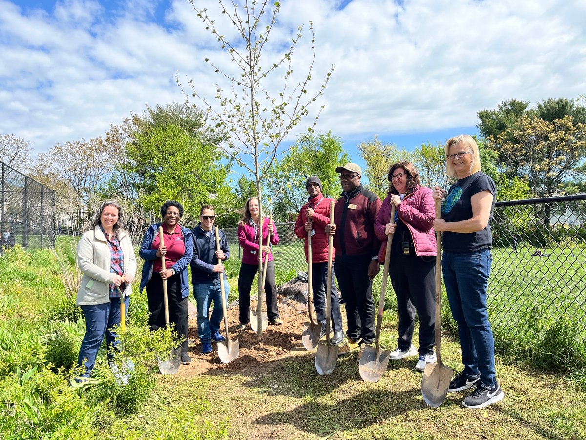 🌳We had the best time celebrating #ArborDay at @Gaithersburg_MS! Joined by Council Member @CMLisaHenderson, Model UN students planted a majestic sycamore tree. Did you know these beauties can thrive for over 200 years? Let's keep our planet green and flourishing! 🌍💚