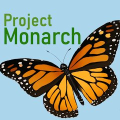 @frag369 Non c'est bien Monarch, parfois écrit 'MonarK' et oui, pour la chrysalide, j'en ai récemment parlé justement ici...