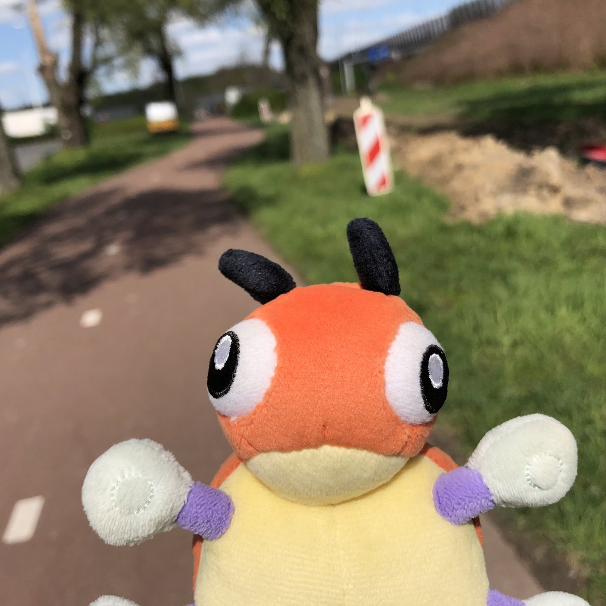 Dy Dy~!

#LedybaSnap #PokemonSnap #Pokemon #PokemonGo #Ledyba #Rediba #レディバ #ポケットモンスター #Eindhoven #Veldhoven #Zeelst