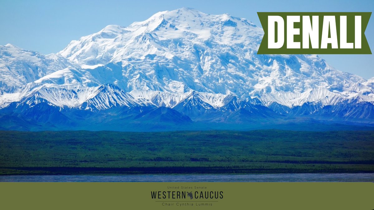 Denali National Park boasts the country's tallest peak, Denali, at 20,310' and 6 million acres of nature for visitors to enjoy. #NationalParkWeek