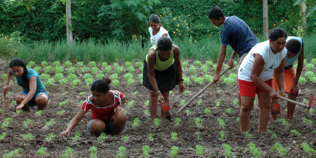 ALTER ECO (@altereco_fr) on Twitter photo Nous mettons régulièrement en avant l'impact positif de l’agroécologie sur l'environnement.🌳
Mais connaissez-vous son impact socio-économique ?
👉Lisez la note de <a href="/coordinationsud/">Coordination SUD</a> à ce sujet : commercequitable.org/wp-content/upl…
avec <a href="/MaxHavelaarFr/">Max Havelaar France</a> <a href="/AVSF_ONG/">Agronomes & Vétérinaires Sans Frontières</a> <a href="/EquitableFrance/">Commerce Équitable France</a> Nous mettons régulièrement en avant l'impact positif de l’agroécologie sur l'environnement.🌳
Mais connaissez-vous son impact socio-économique ?
👉Lisez la note de <a href="/coordinationsud/">Coordination SUD</a> à ce sujet : commercequitable.org/wp-content/upl…
avec <a href="/MaxHavelaarFr/">Max Havelaar France</a> <a href="/AVSF_ONG/">Agronomes & Vétérinaires Sans Frontières</a> <a href="/EquitableFrance/">Commerce Équitable France</a>
