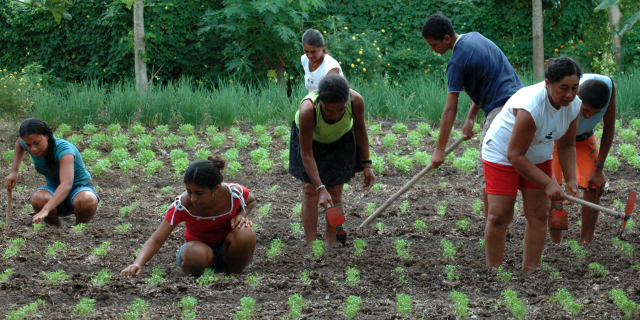 Nous mettons régulièrement en avant l'impact positif de l’agroécologie sur l'environnement.🌳 Mais connaissez-vous son impact socio-économique ? 👉Lisez la note de @coordinationsud à ce sujet : commercequitable.org/wp-content/upl… avec @MaxHavelaarFr @AVSF_ONG @EquitableFrance