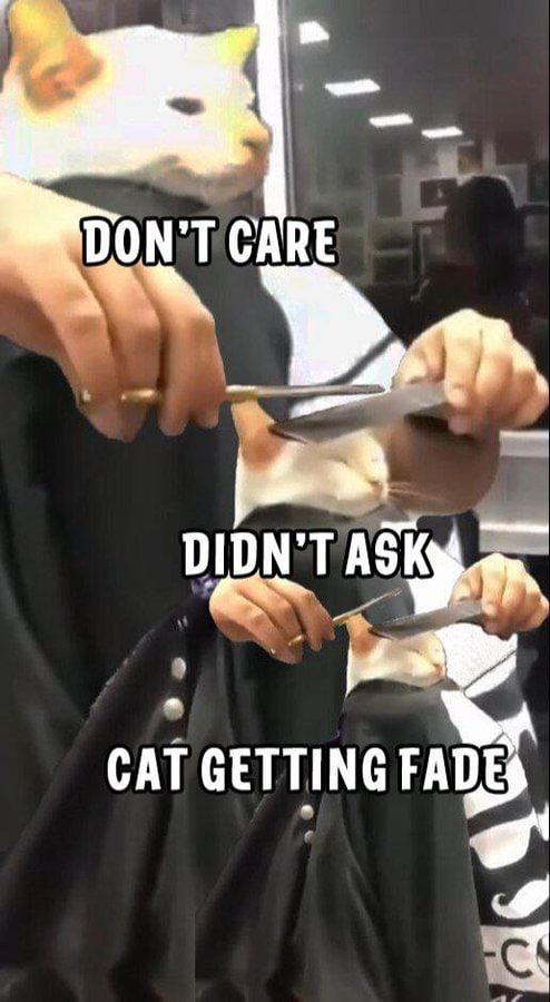 UKDRILLABOY's tweet photo. @Cat_GettingFade @gordongekko https://t.co/owLNp9iHgs