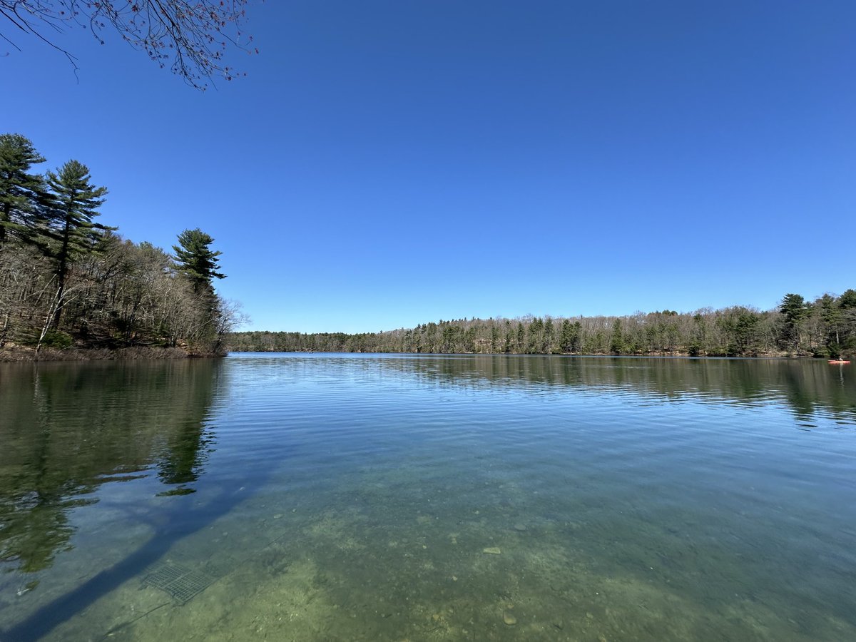 What an amazing day to take in Walden Pond!