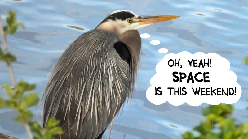 SPACE_CON's tweet image. SPACE (Small Press &amp;amp; Alternative Comics Expo)
Saturday, April 27&amp;amp; Sunday, April 28, 2024 (THIS WEEKEND!!!)
10AM to 6 PM Saturday    10AM to 5 PM Sunday
Rhodes Center at the Ohio Expo Center and State 
Over 100 Exhibitors!
Free Admission!
backporchcomics.com/space for all the dets!