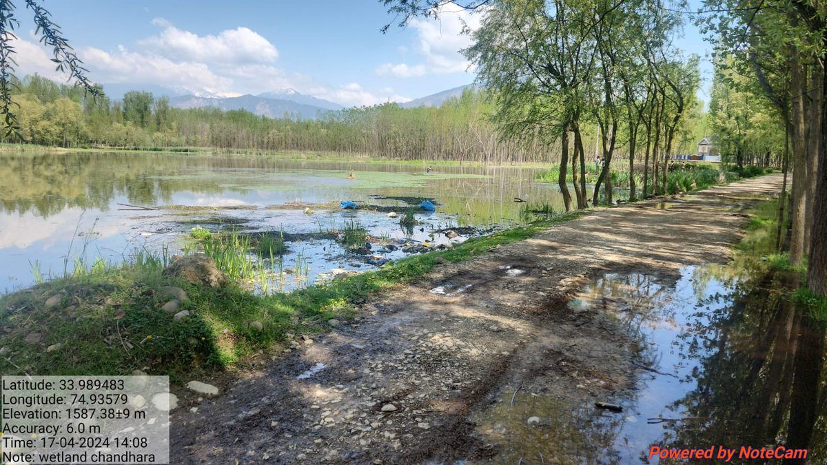 Chatlam & Kreenchu Chandhara Wetlands in Pampore being filled with Clay. Locals send me pics daily . I request @dcpulwama to kindly intervene. There is NGTs clear order also to protect them. A makeshift road has been made which needs to be dismantled @OfficeOfLGJandK