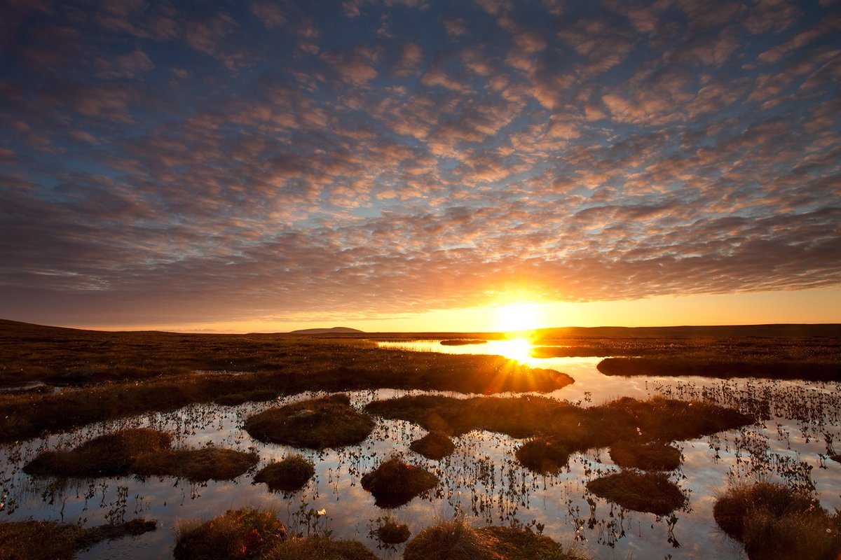 Wow! 🤩

More than 1,000 people supported @ScotRewilding's Big Give appeal, raising £200,000 to help make Scotland a #RewildingNation.

Let's keep building! Add your name to the #RewildingNation Charter to create a future where nature is reawakened 🌄

👉 rewild.scot/charter