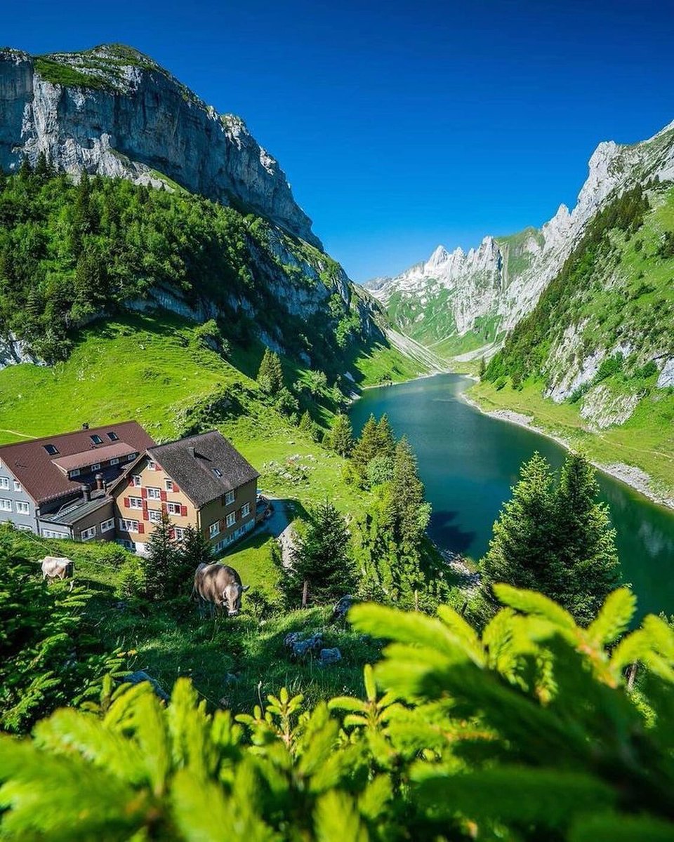 Europe's charm lies in its colourful landscapes, whether it's the magnificent Alps, the stunning Mediterranean coastline or the ancient castles and magnificent churches, Europe attracts visitors with its beauty. #Travel #TravelTips #Beauty #EuropeanTravel