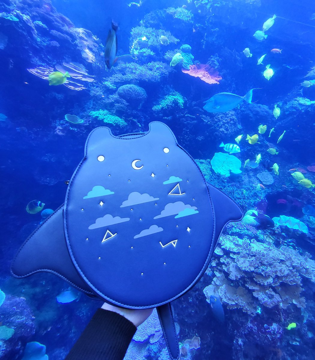 manta ray bag at the aquarium! 🐟