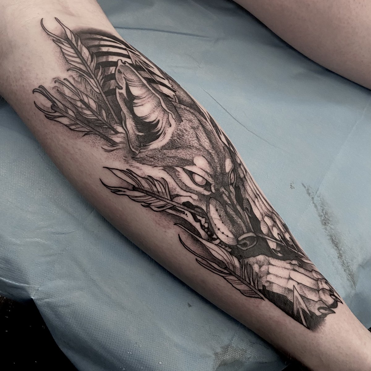 coyote for chris yesterday ⚔️