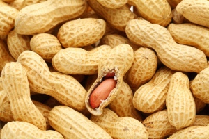 It has been said some inhaled #asthma medicines have soy and kids with #PeanutAllergy can cross-react. This implies asthma inhalers may be dangerous for those with peanut or soy allergies. Peanut and soy-allergic patients can safely use asthma inhalers. ow.ly/Op0B50Rpejs