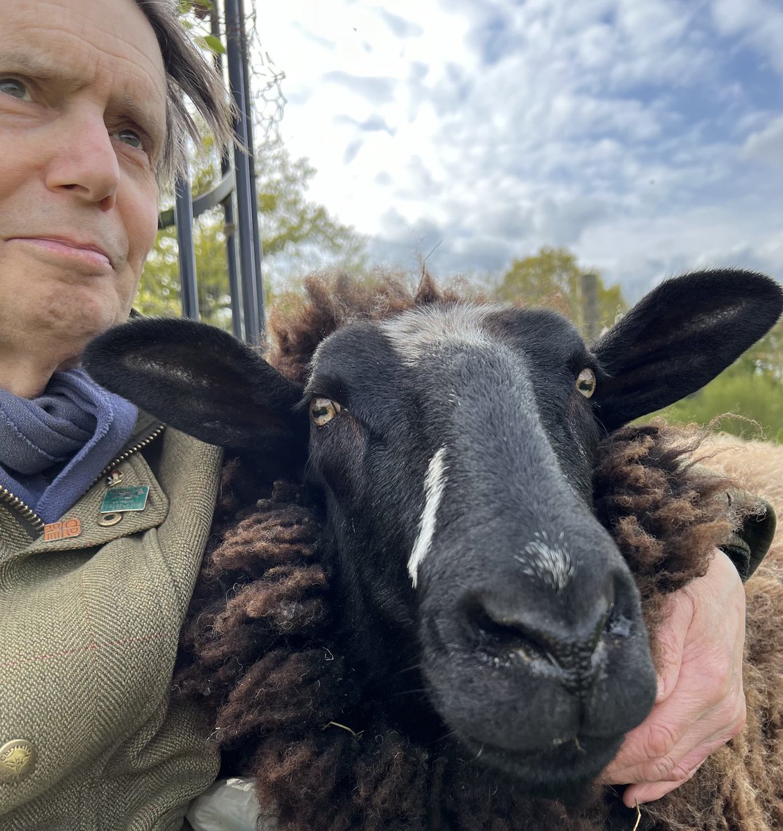 For reasons I cannot quite explain, when I sit down in my fav spot Horatio invariably comes and joins me. As he did just now I spotted a hare lollop across his field. A moment of happiness…