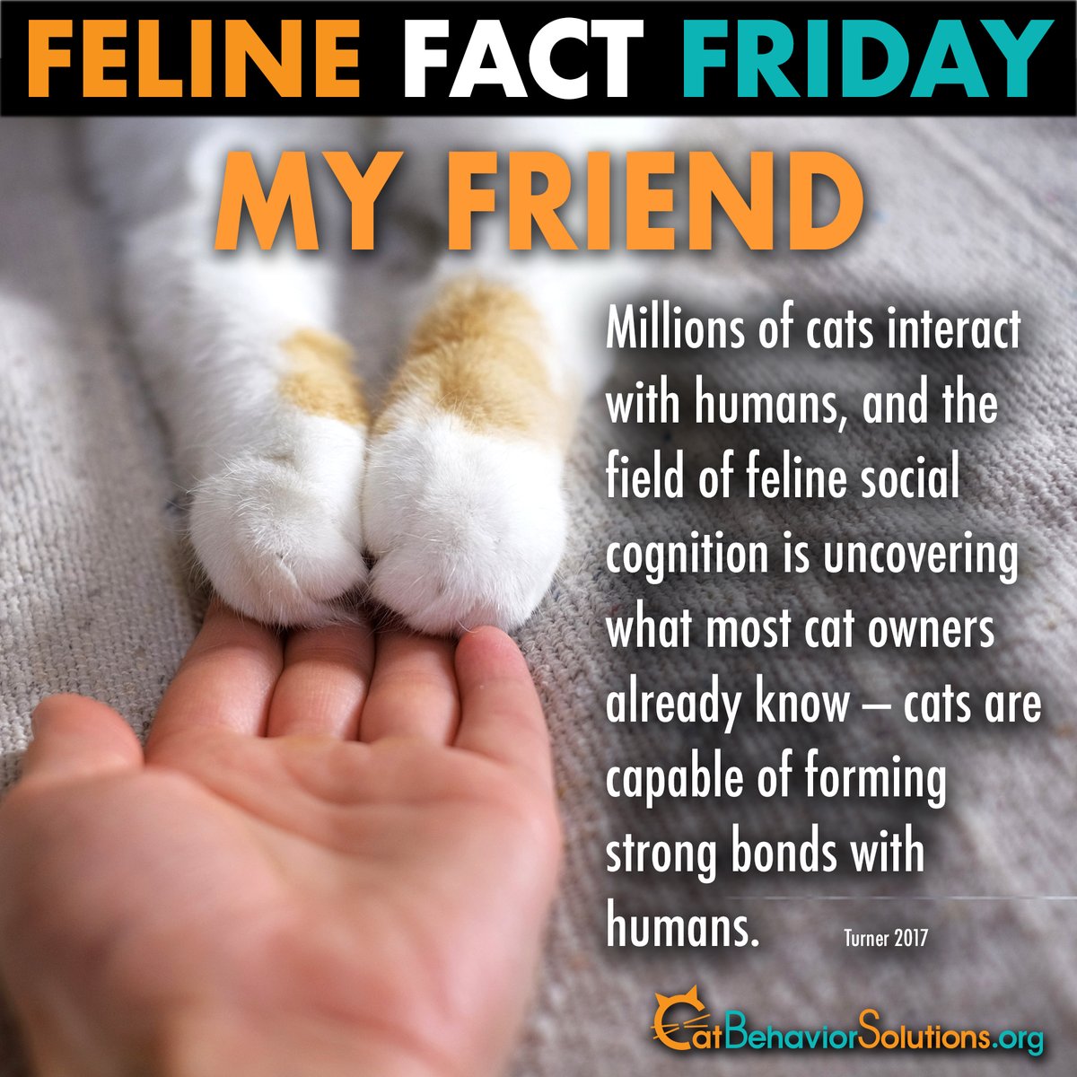 #felinefactfriday #catbehaviorsolutions #catsofinstagram #cats #catlovers #lovecats #gato #picodegato #catlove #ilovemycat #cattalkradio #caturdayonaFriday #felinebond #cathumanbond #felinecognition