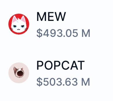 🚨 LATEST: Memecoin $POPCAT (@POPCATSOLANA) flips $MEW in market cap and has become the #1 cat-themed memecoin across all chains.