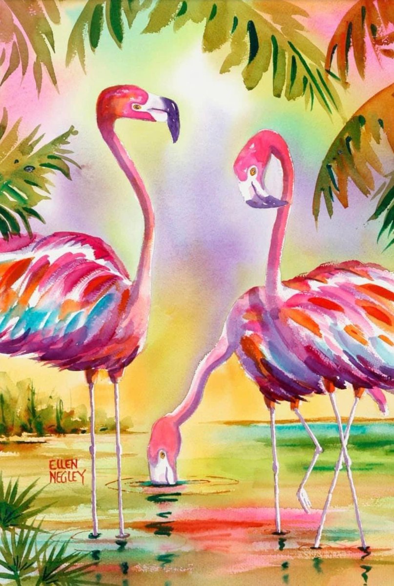 Flamingos really are what they eat!

Many plants produce pigments called carotenoids. They are also found in the microscopic algae that brine shrimp eat. 

As a flamingo dines on algae and brine shrimp, its body metabolizes the pigments — turning its feathers PINK!