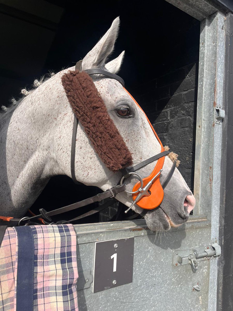 Silver In Disguise ready @Chepstow_Racing