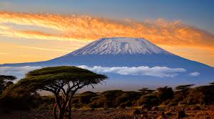 Today, it's 60y since Tanzania was formed by the combination of TANganyika & ZANzibar.
Tanzania has protected nature the size of Norway 
and has the largest lion population in the world 
but is poor, loses 1% of forest a year, and needs more $ from the North to conserve (for us).