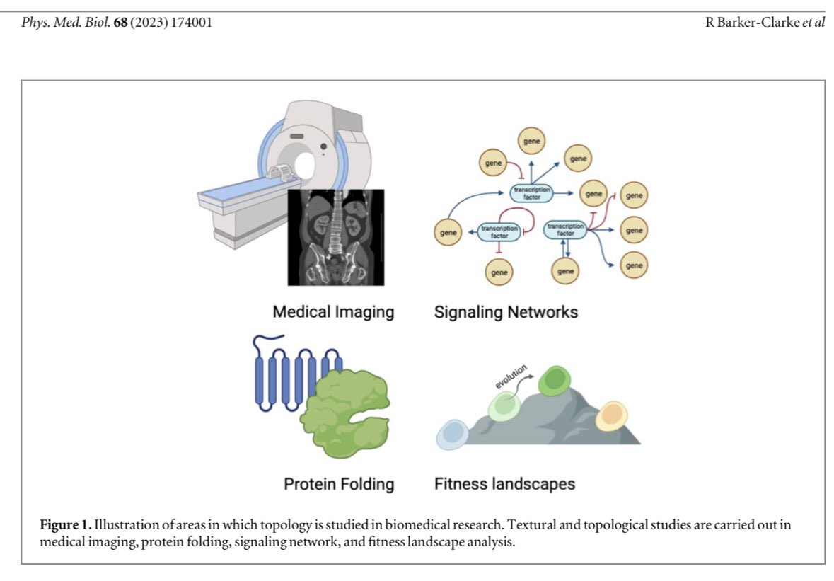 Graph 'texture' features as novel metrics that can summarize complex biological graphs iopscience.iop.org/article/10.108…