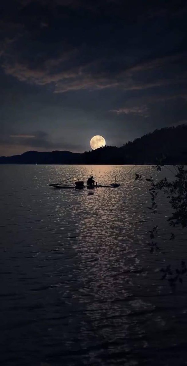“Moonlight is the proof that there will always be light in darkness.” 💫🌕#quotes Wishing everyone an amazing Friday evening and a happy start to your weekend. 🥂💫✨🌕🕊️✨🎶💃🏻🕺🌺✨💛✨❤️