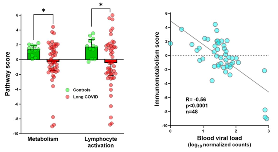 It's a short paper so details are in the Appendix 🤓
Look below at the very homogeneous controls (green) and the wild variation among #LongCovid patients: some are similar to controls but half are 'deficient' in lymphocyte activation and immunometabolism -> higher viral load!