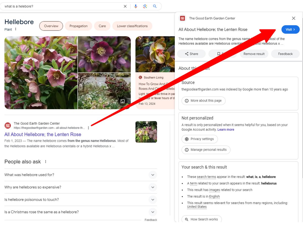 For some time, we've seen the 'Visit' that opens up 'About this result' and 'Related insights' in Google's Search Generatitive Experience. Today, I decided to put this feature to the test with a topic close to my heart-'hellebores'. These beautiful flowers are currently the…