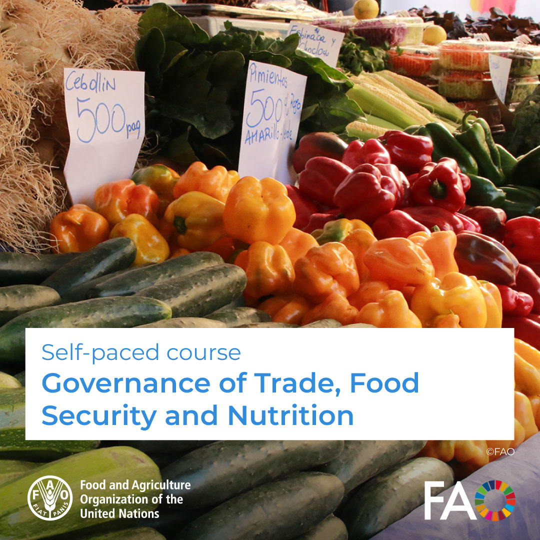 🎓 FREE self-paced course! 🚨Governance of Trade, Food Security and Nutrition 🍽️ This course aims at discussing the key global policy and regulatory frameworks governing trade, food security and nutrition Enroll! ➡️ ow.ly/XUSi50QMyb6 @FAOCampus