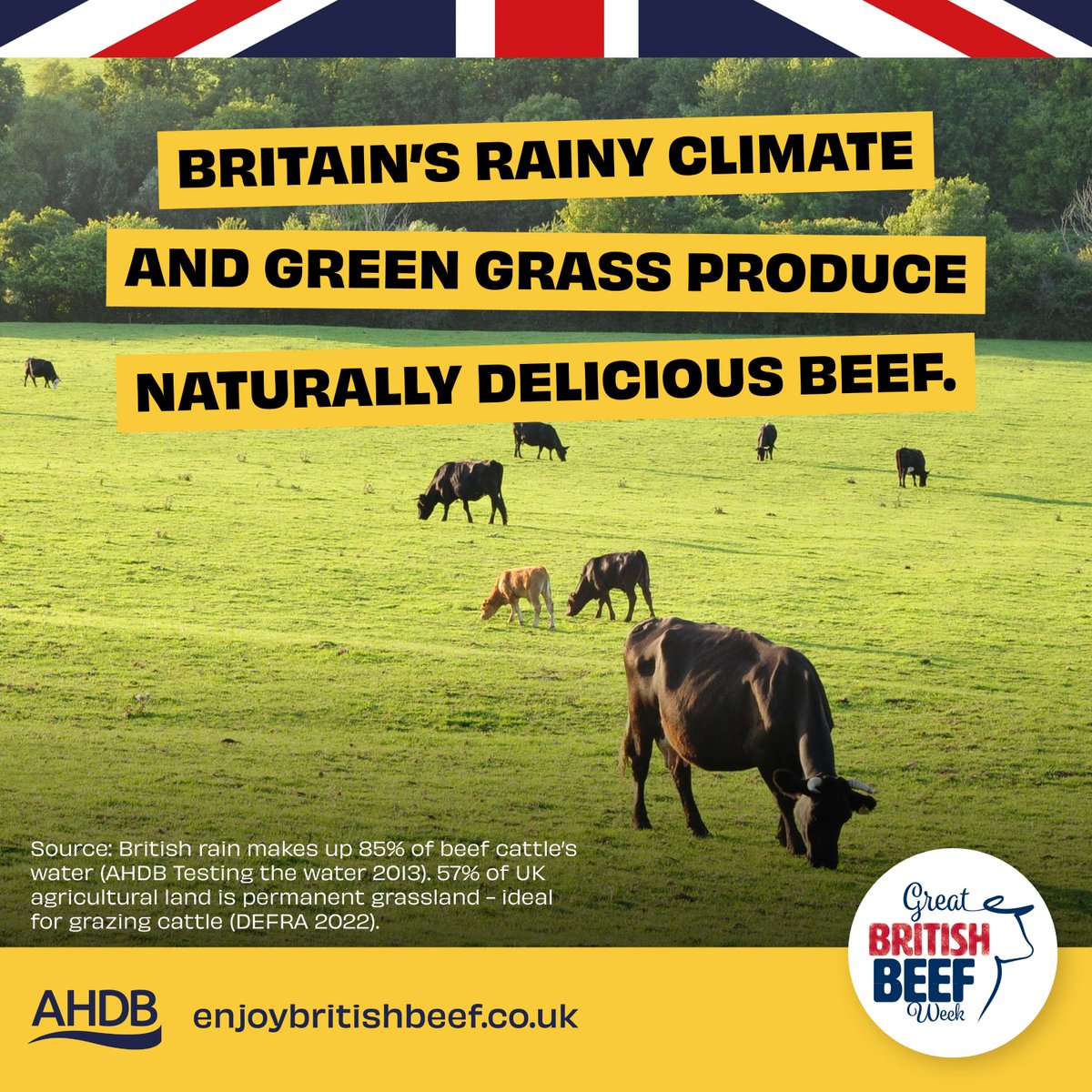 British beef is naturally delicious, produced from cows who graze out on lush green grass for most of the year, thanks to our rainy days and mild climate 🐂🌦️. 🍽️To learn more and to check out our #NaturallyDeliciousBeef recipes, visit: ow.ly/TPFL50Rm2L0 #GBBW24