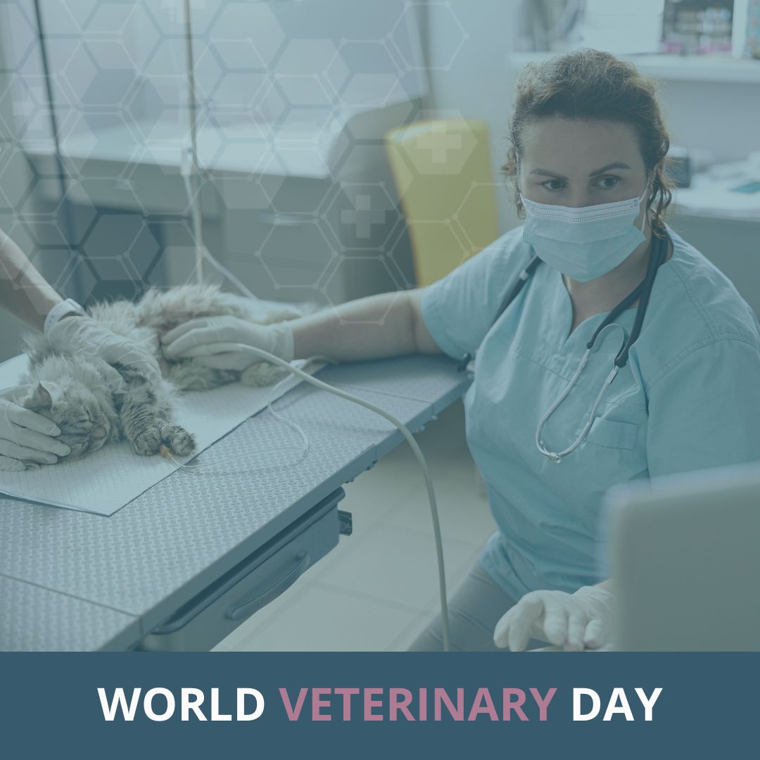 Tomorrow is World Veterinary Day. Do you have a veterinarian that you are especially thankful for? Share your appreciation in the comments below and let's give them the recognition they deserve! 💙 

#Veterinarians #EllieDifference #ThankAVet #VetAppreciation #WorldVeterinaryDay