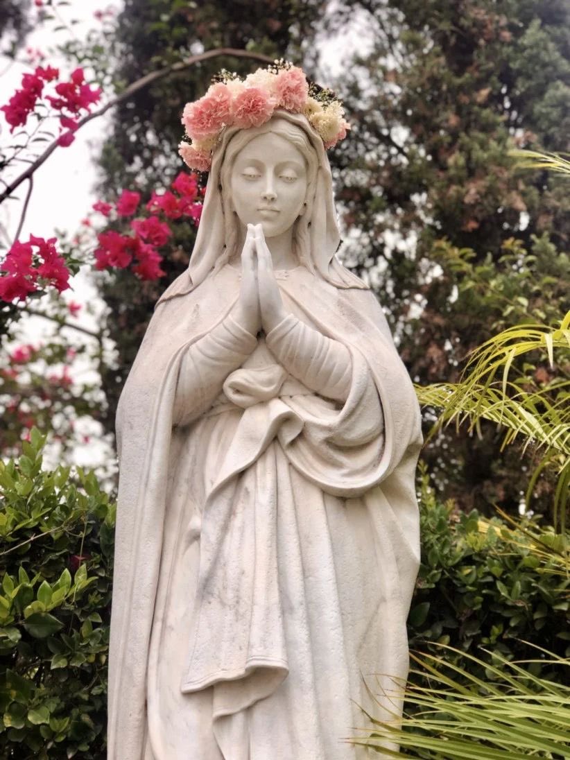 Hail Mary, full of grace, the Lord is with Thee. Blessed art Thou amongst women And Blessed is the fruit of Thy womb, Jesus. Holy Mary, Mother of God Pray for us sinners now and at the hour of our death. Amen
