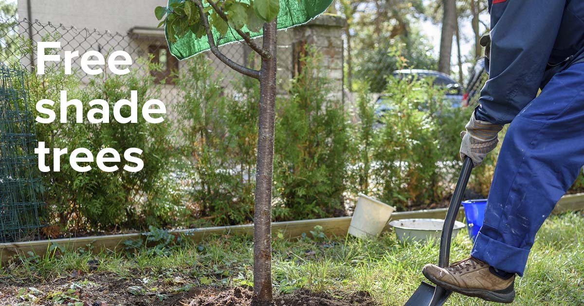 Happy #ArborDay! 🌳 We’re partnering with the @arborday so our customers can live a little greener. 💚 Register for a FREE tree and learn how to save up to 20% on energy bills by planting trees in the right place around your home. Claim yours today ➡️ enter.gy/6016boqOj
