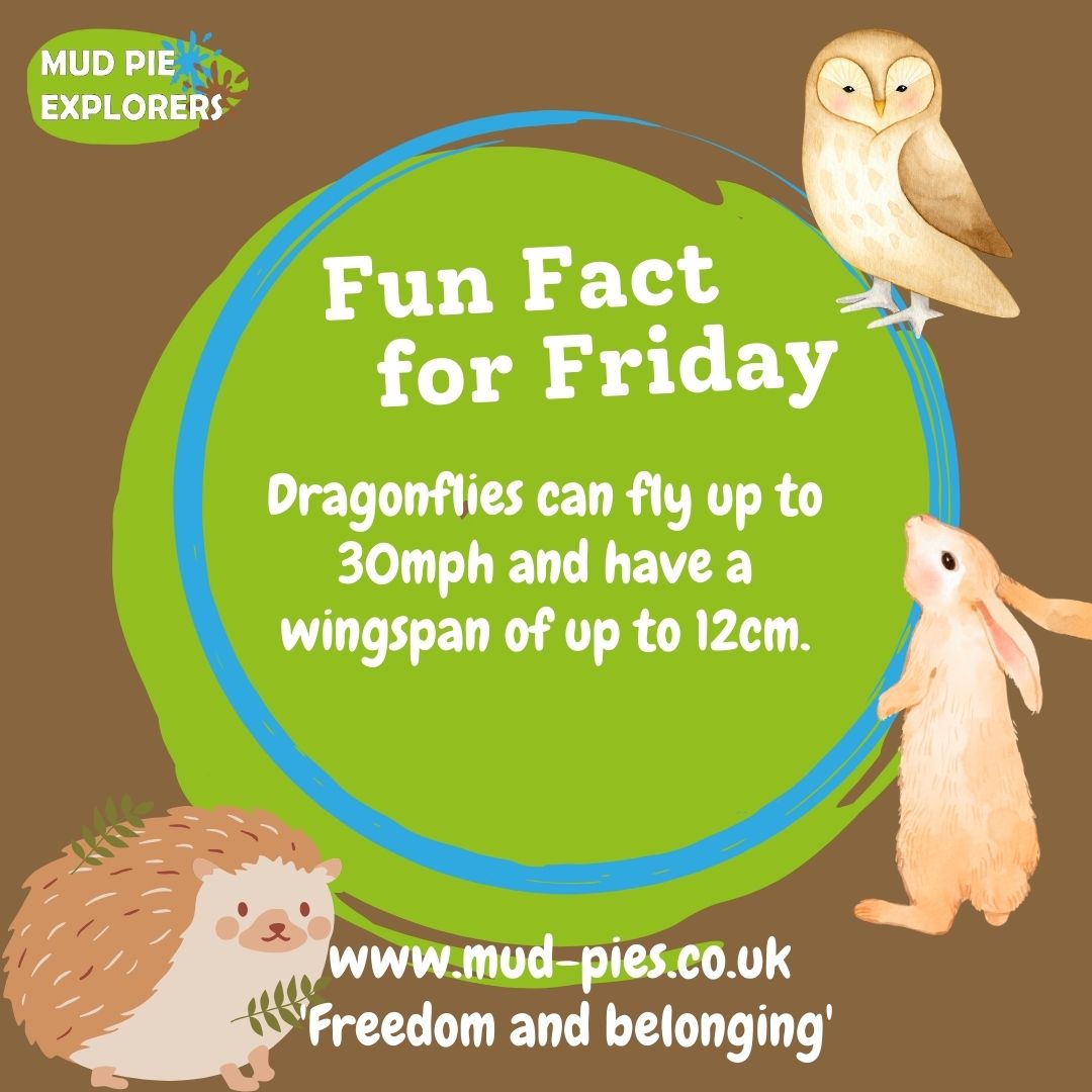 #Dragonflies can fly up to 30mph and can have a wingspan up to 12cm! 🐲

#forestschool #mudpieexplorers #bristollife #bristolkids #bristolschools #fridayfact #facttimefriday #funfactfriday