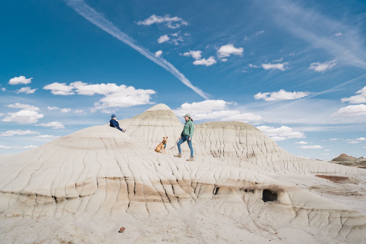 Happy Friday. Before heading out, please check current advisories and trail reports so you know what to expect when you arrive. albertaparks.ca/advisories We love to see your adventures! Tag us @alberta_parks on Instagram and @AlbertaParks on Facebook and Twitter.