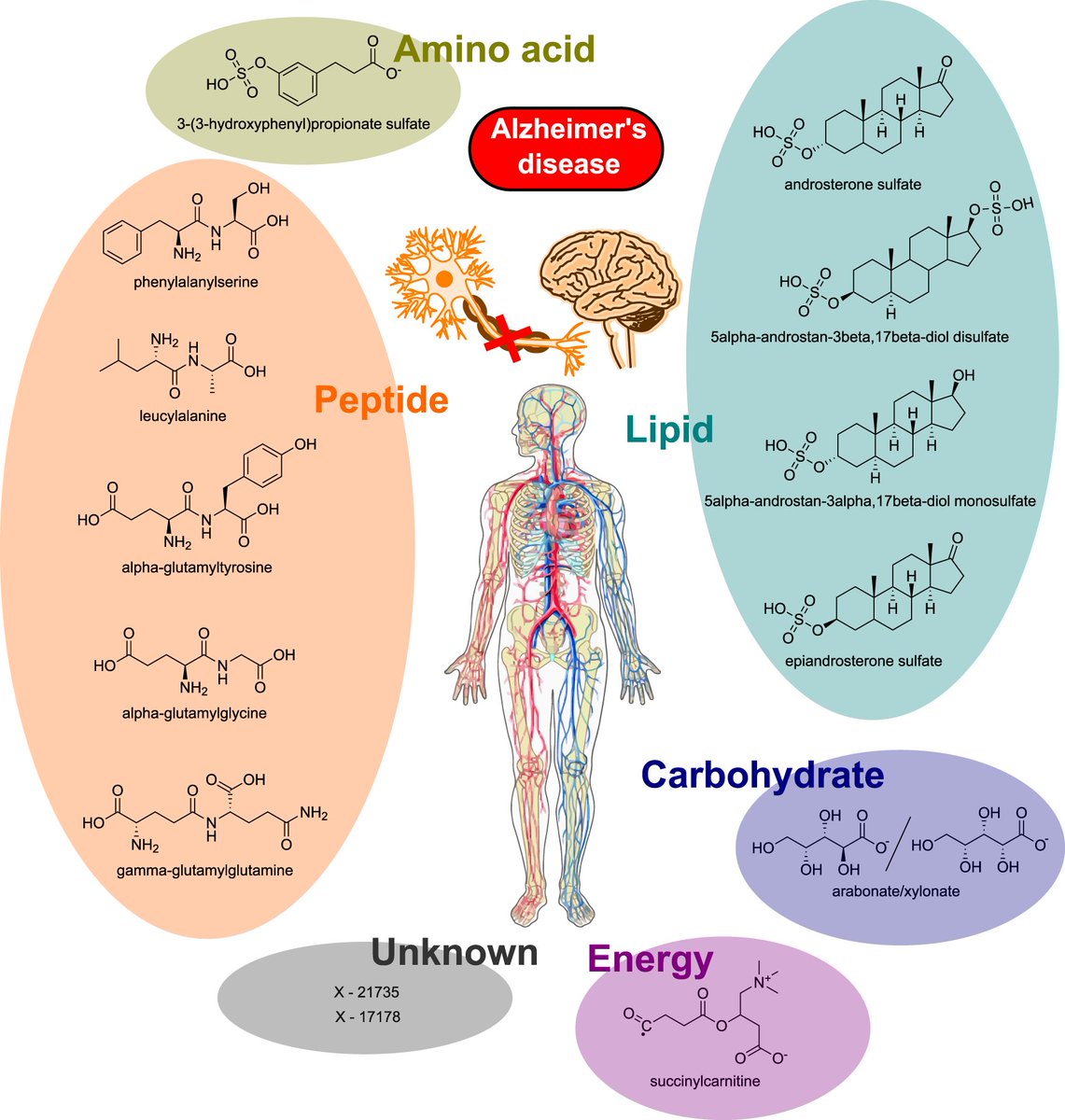 Identification of blood metabolites associated with risk of Alzheimer’s disease by integrating genomics and metabolomics data

nature.com/articles/s4138…