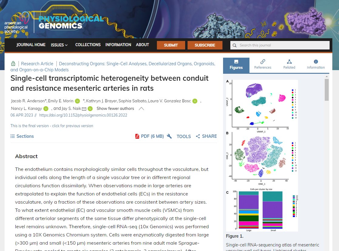 🔓#SuggestedRead 'Single-cell transcriptomic #heterogeneity between conduit and resistance #mesenteric arteries in rats' by Jacob R. Anderson et al.

🖱️ow.ly/vqig50RiATE

#SingleCellRNAseq #endothelial #SmoothMuscle