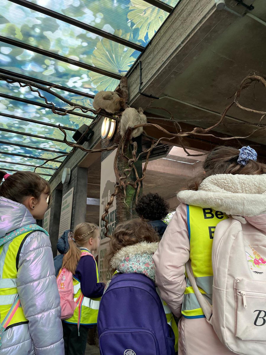 It was a thrilling day for Year 3 exploring the wonders of the London Zoo! 🦜🌎 Combining Geography and Science, they delved into the habitats and creatures, connecting classroom learning with real-world marvels. #LondonZoo #HandsOnLearning @thesteptrust