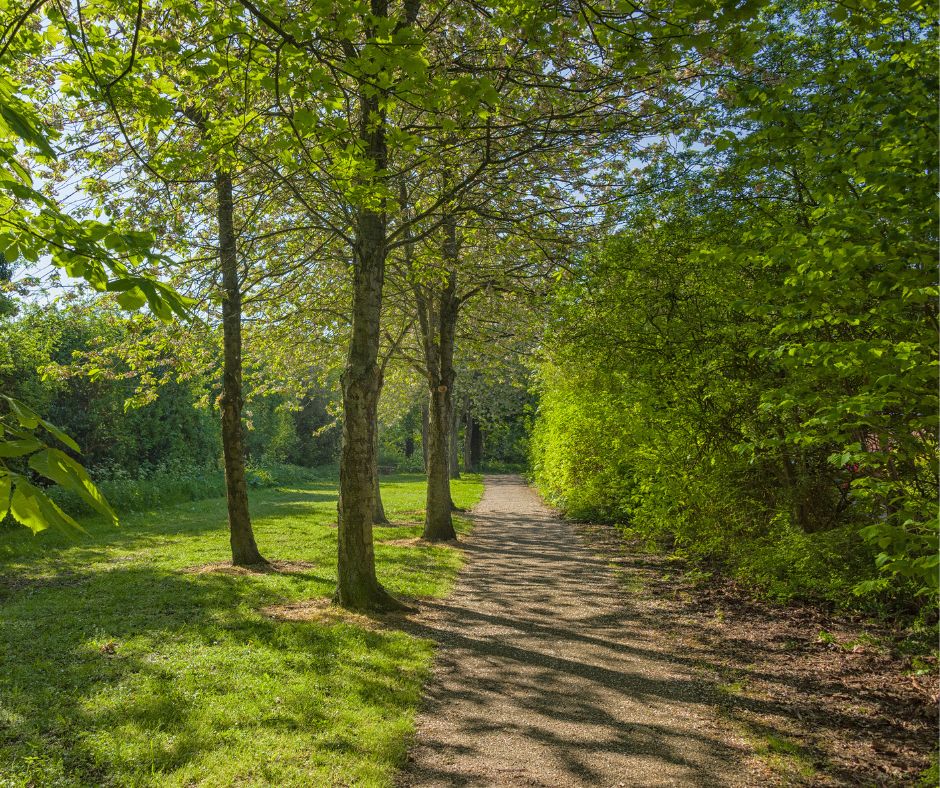 Take time out for a relaxing walk this weekend and soak in the calmness of #CaldecotteBrook🐸 Enjoy Spring at this park on the east side of #MiltonKeynes - there's a play area, a lookout with frog ponds, and plenty of open green space. Plan a visit ➡️ ow.ly/jFYR50RjCM1