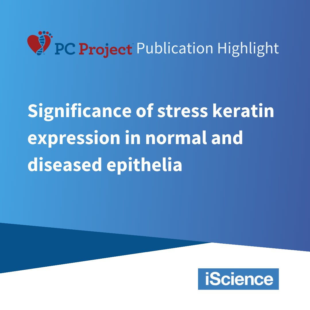 We highlight the excellent work in this article about stress keratins, with special recognition to Pierre Coulombe and Erez Cohen, both friends of PC Project.

cell.com/iscience/fullt…

#Pachyonychia #RareDisease #StopPCPain