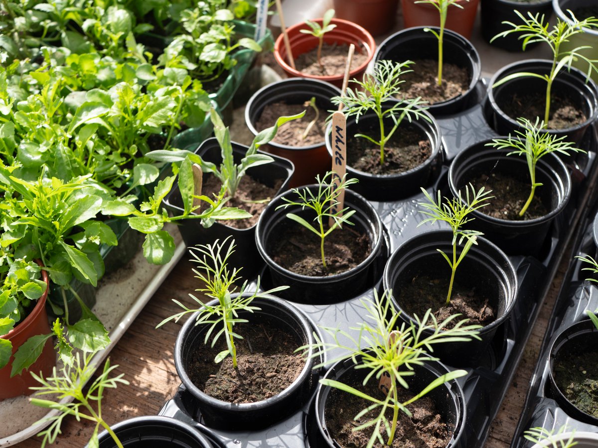 Artlink Edinburgh tweet media