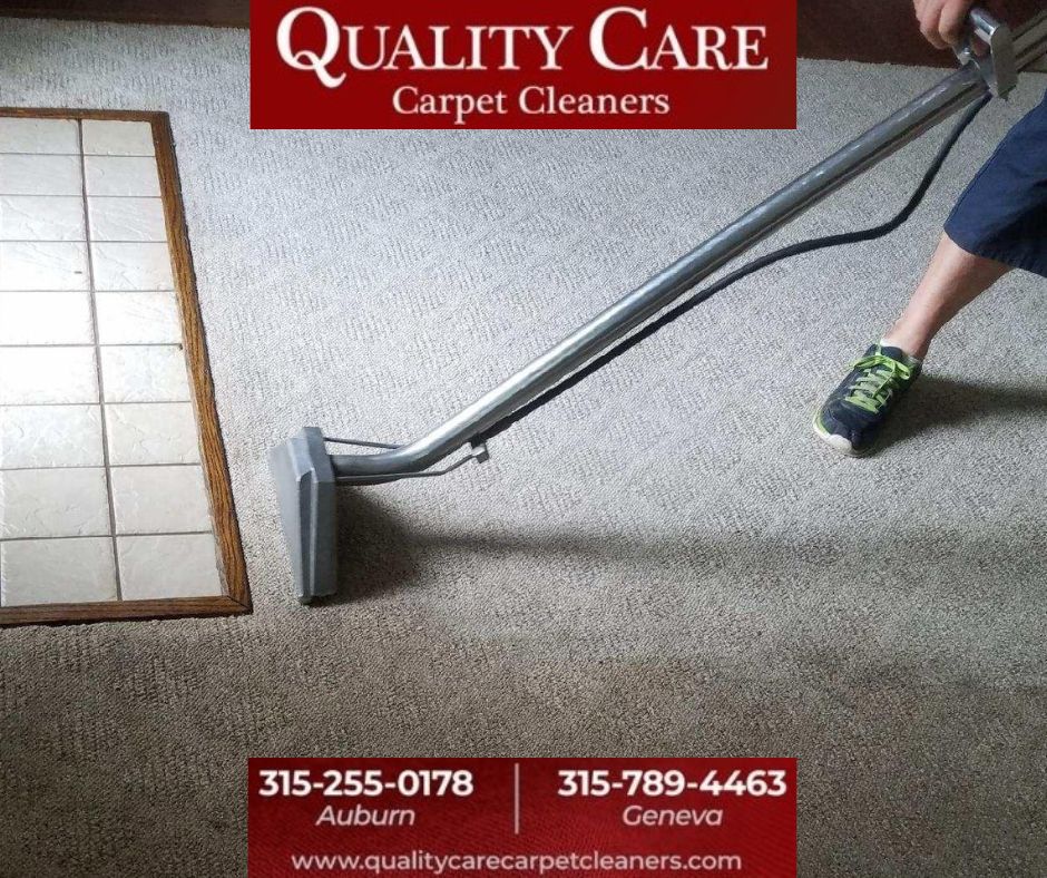 If Fresh Clean Carpets 🌸 is what you want?  Call Quality Care Carpet Cleaners! That is exactly what you will get! Fresh Clean Carpets.  Your Local Cleaning Professionals 😃👍 315-255-0178   

#carpetcleaning #carpetcleaner #localbusiness #CallQualityCare