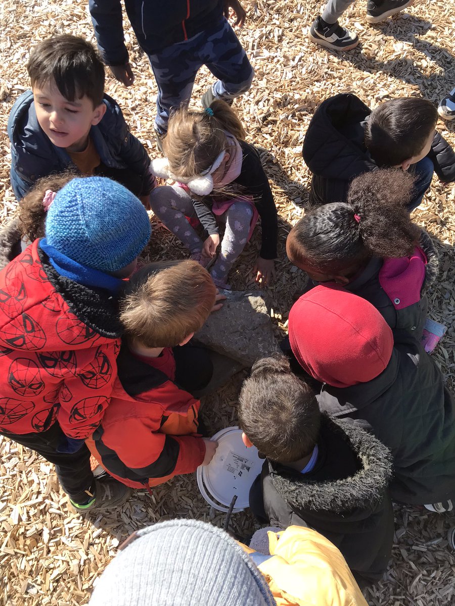smashing rocks! we managed to open up the rock with our rock hammer and chisel, horn coral, some shell fossil, bone and even some quartz gem pockets