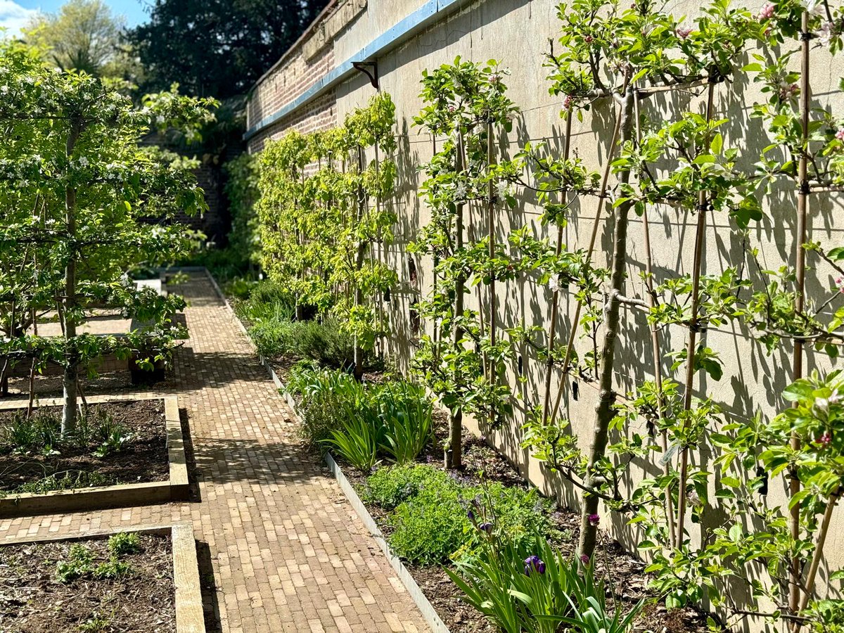 AllenScott_Ltd's tweet photo. A busy couple of weeks visiting project sites  - it's especially exciting to see those reaching completion, but with many others in the design phases too its been out, then back to the office to continue working up concepts. 
#landscapearchitecture #sitevisits #publicrealm https://t.co/cYm3jqurgm