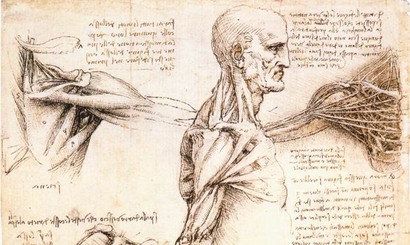 Leonardo da Vinci was fascinated by human anatomy; he dissected over 30 human corpses, detailing over 240 detailed drawings and notes about the human spine, skull, and muscles, which would have redefined Renaissance medicine had they been published at the time.
