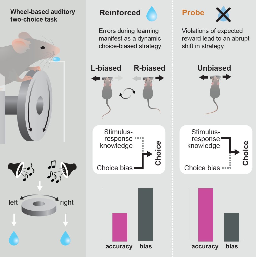 Excited to share our new result on Current Biology: sciencedirect.com/science/articl… with @kishoreneuro. Is there such a thing as a ‘strategic’ error? Humans and other animals often make errors when learning something new, in part because learning a task with no prior knowledge is hard.