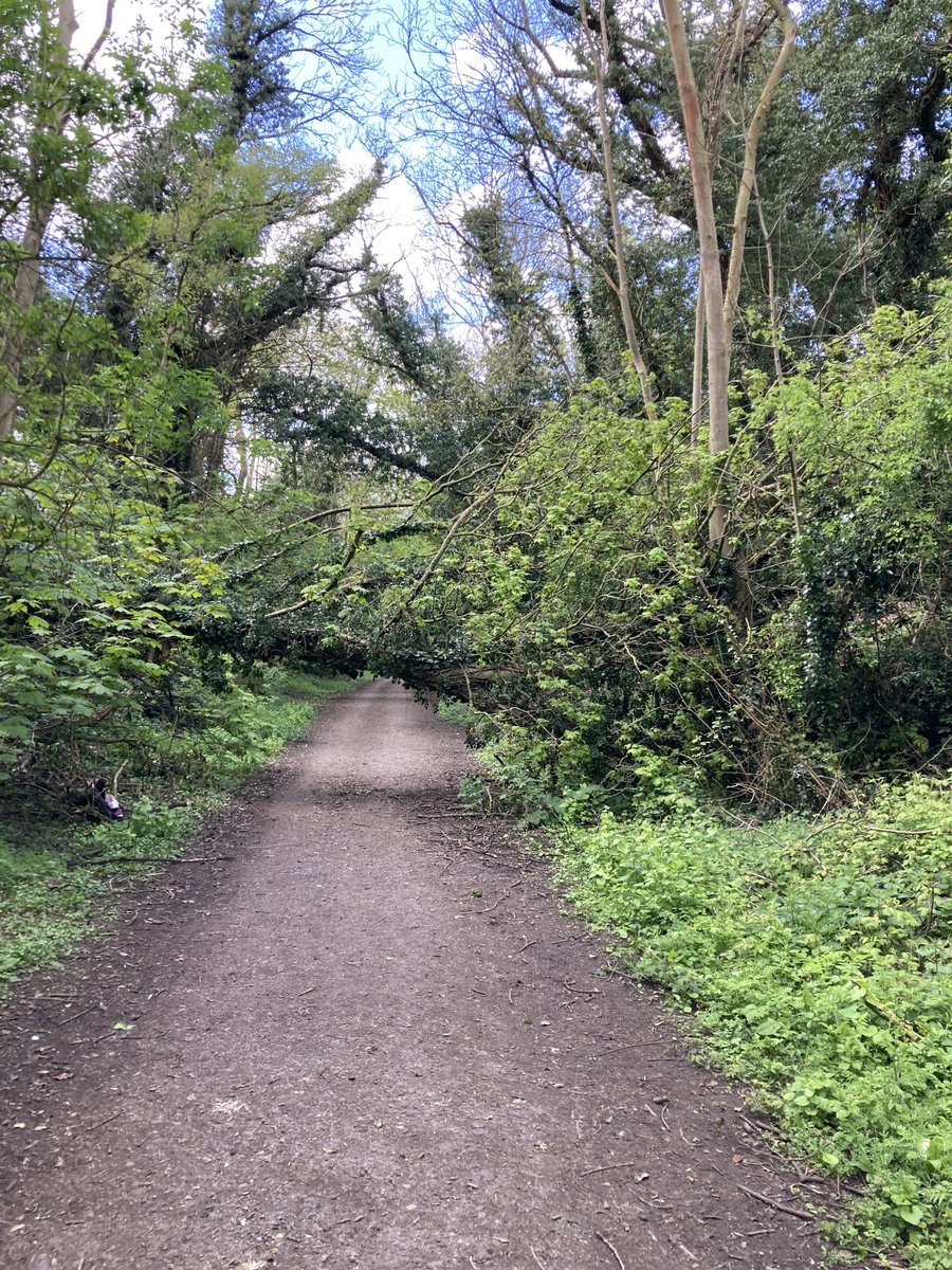 John_Salt's tweet image. A little bit dangerous across national cycle route 67 between #Wetherby and #Spofforth
This tree fell back in January thought it would have been removed by now? @Sustrans